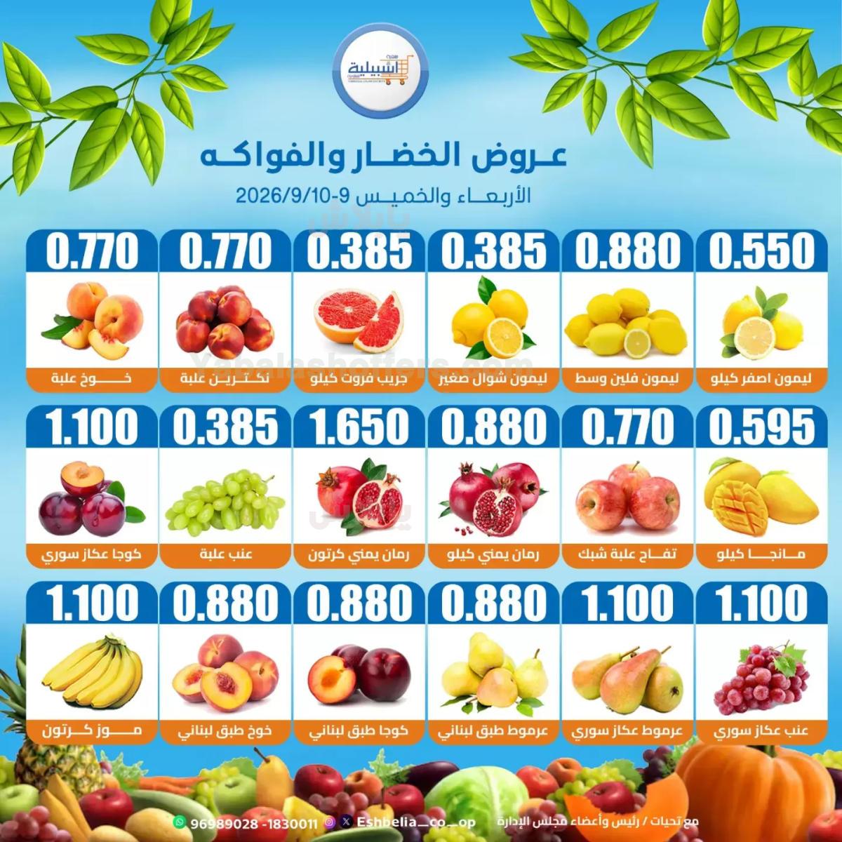صفحة 3