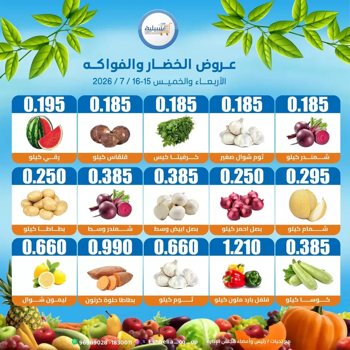 صفحة 3