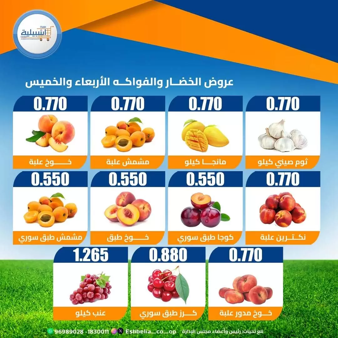 صفحة 3