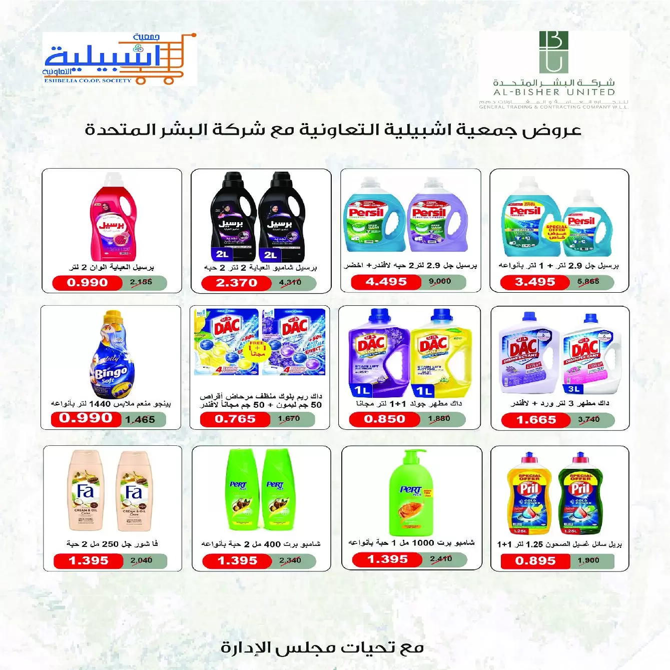 صفحة 24