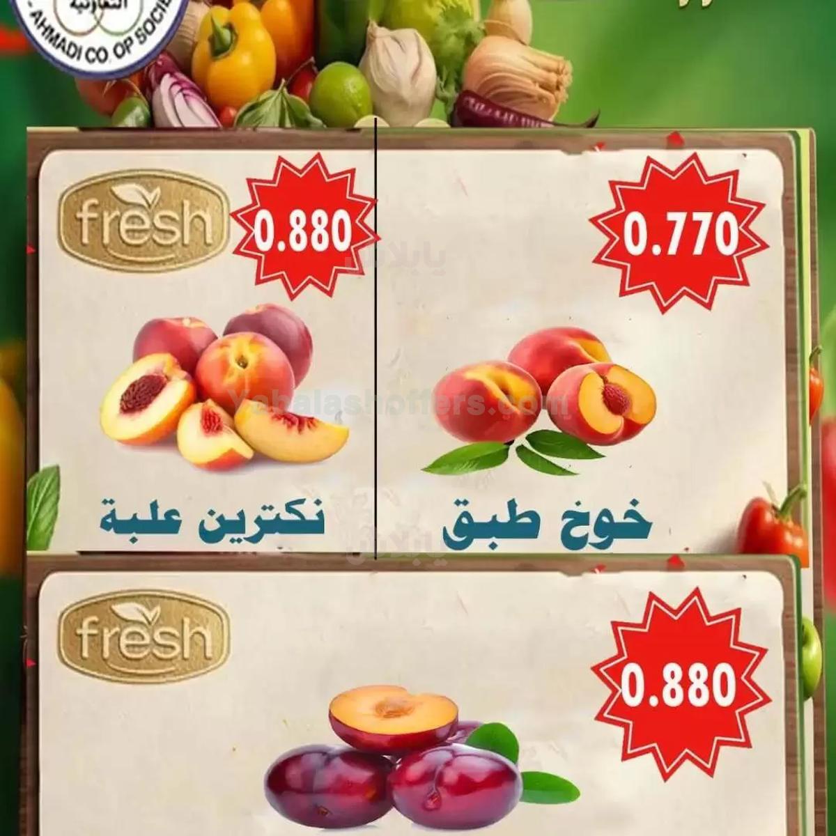 صفحة 3