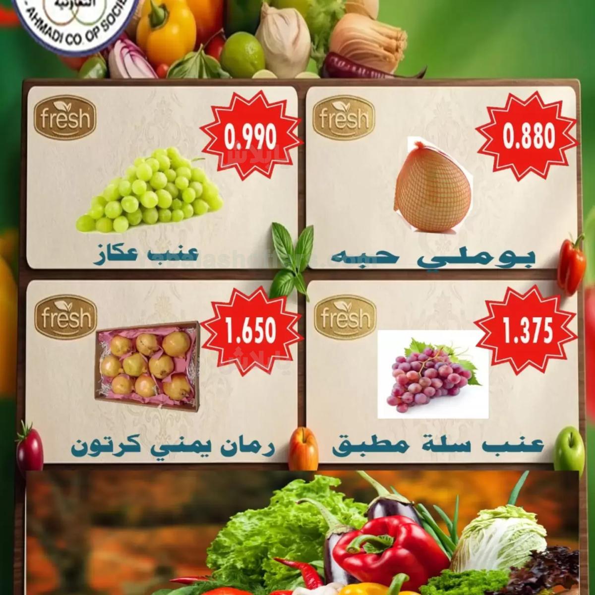 صفحة 3