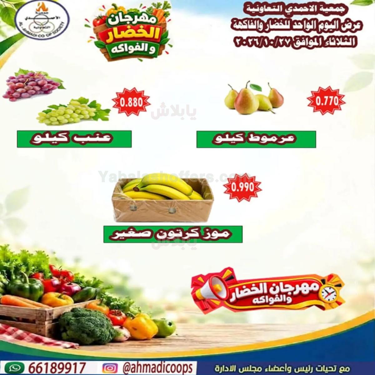 صفحة 3