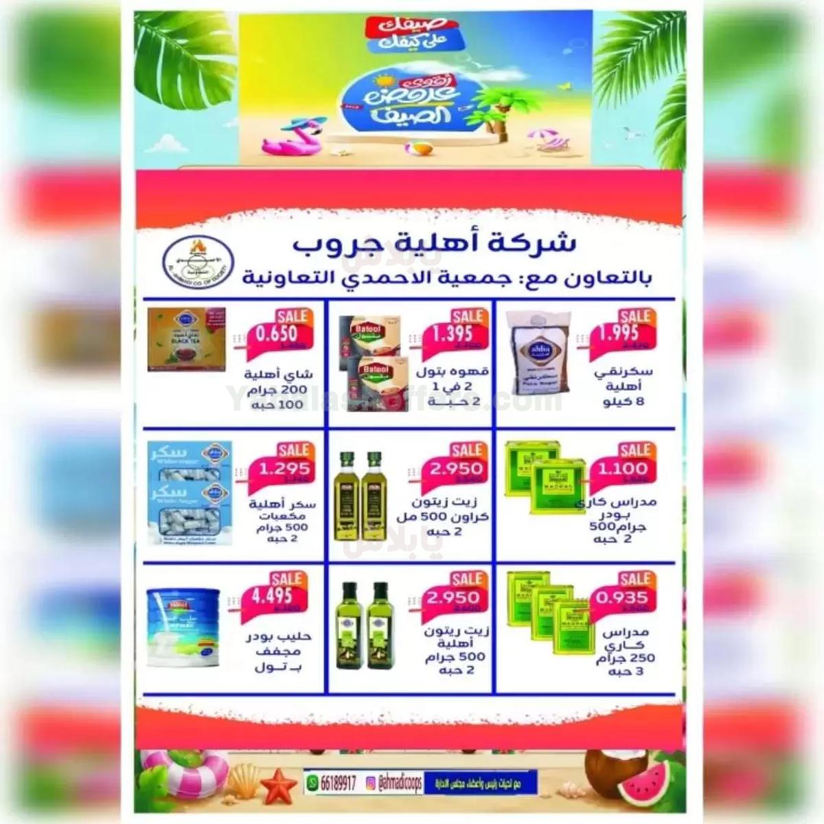 صفحة 13