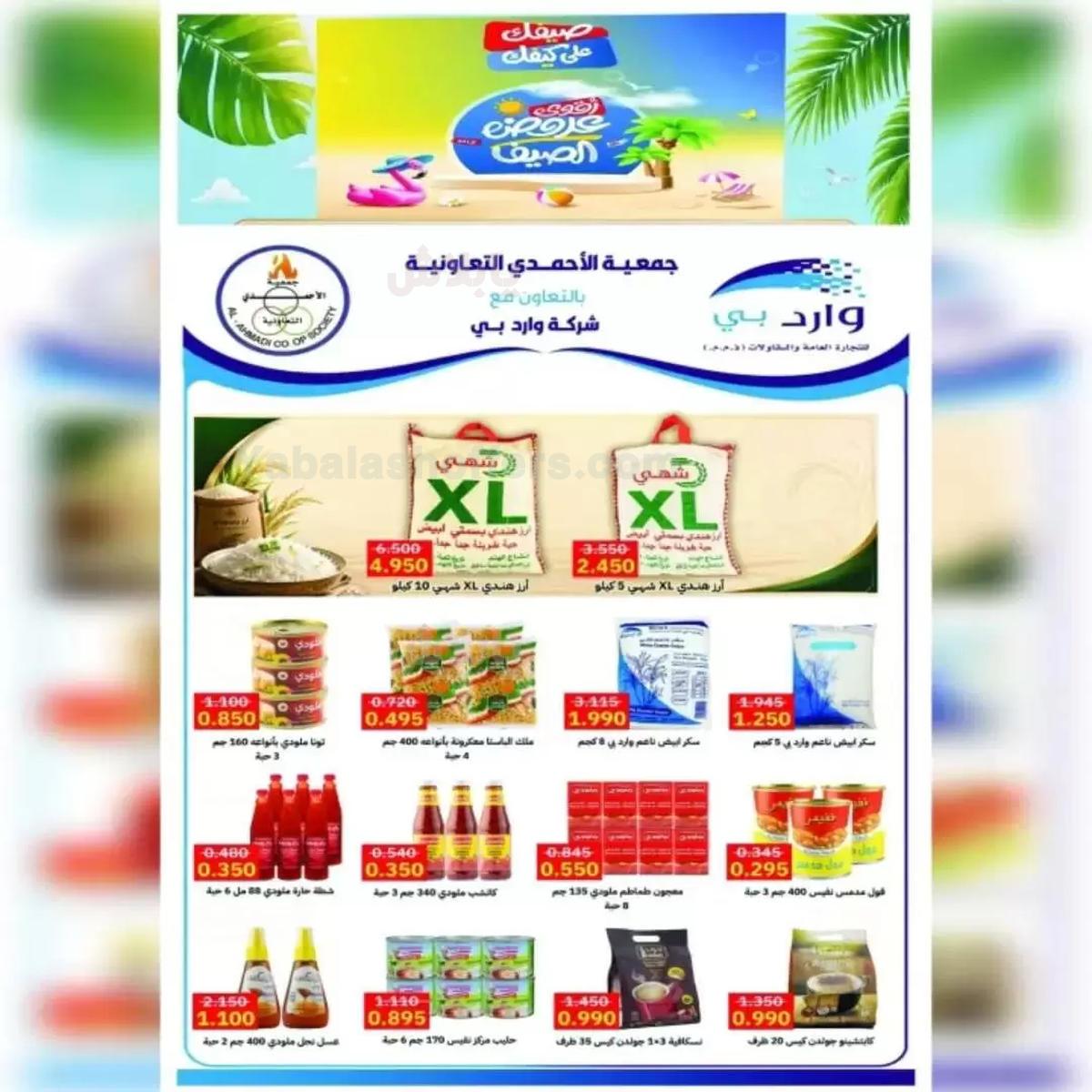 صفحة 17