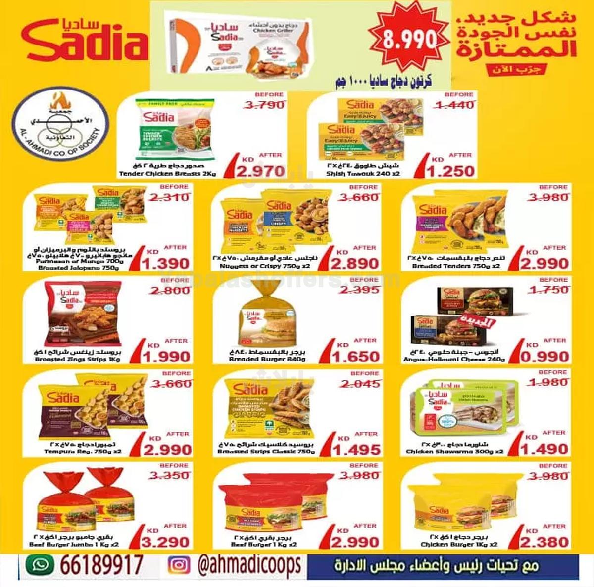 صفحة 4