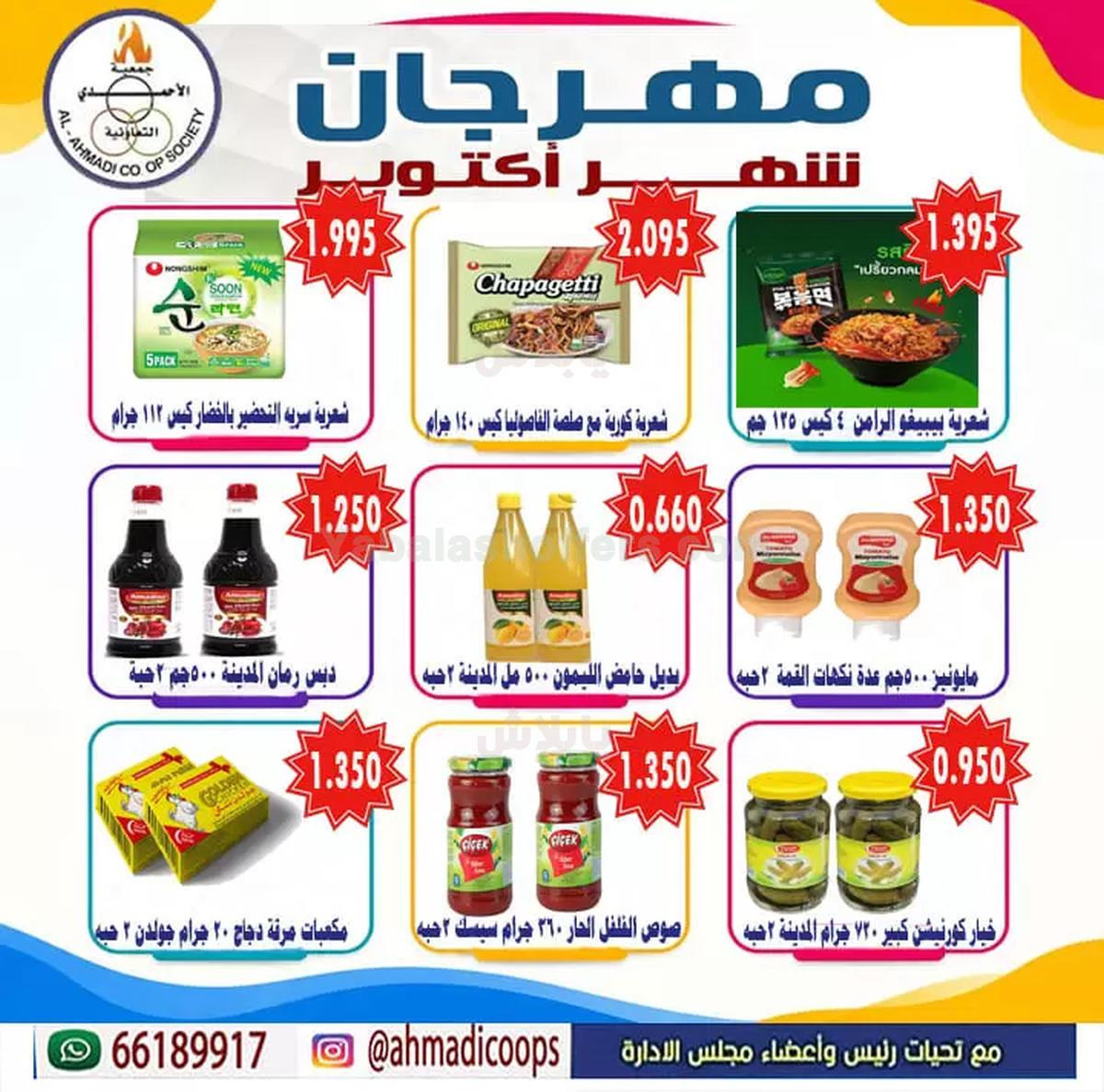 صفحة 16