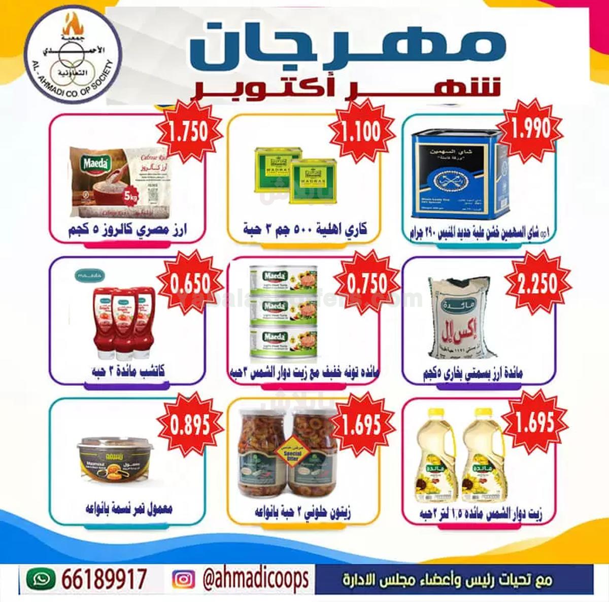 صفحة 17