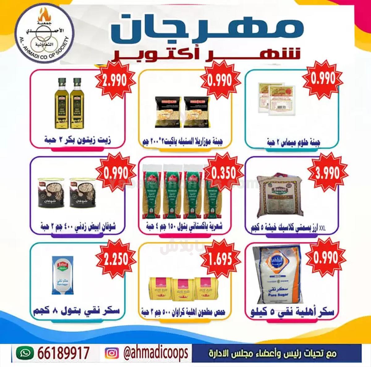 صفحة 19