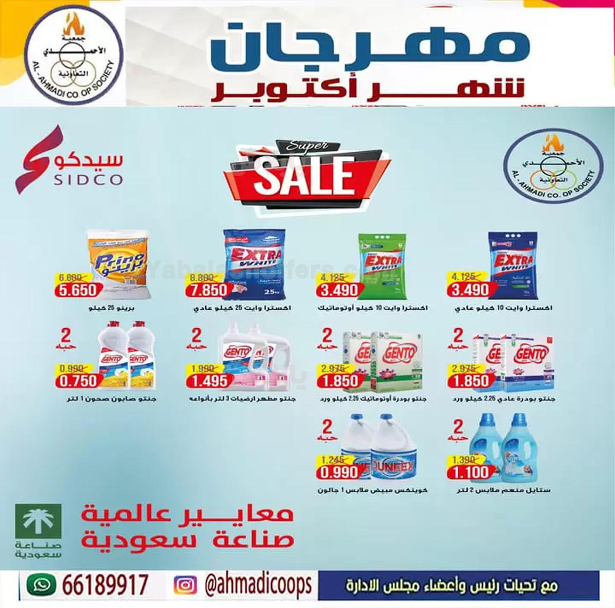 صفحة 21