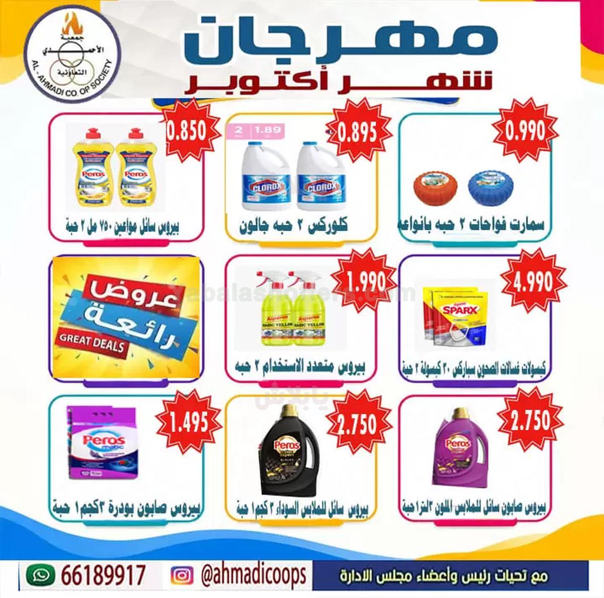 صفحة 24