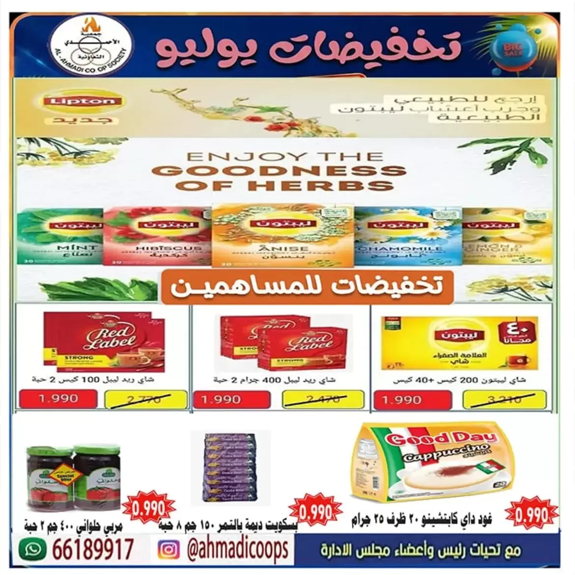 صفحة 13