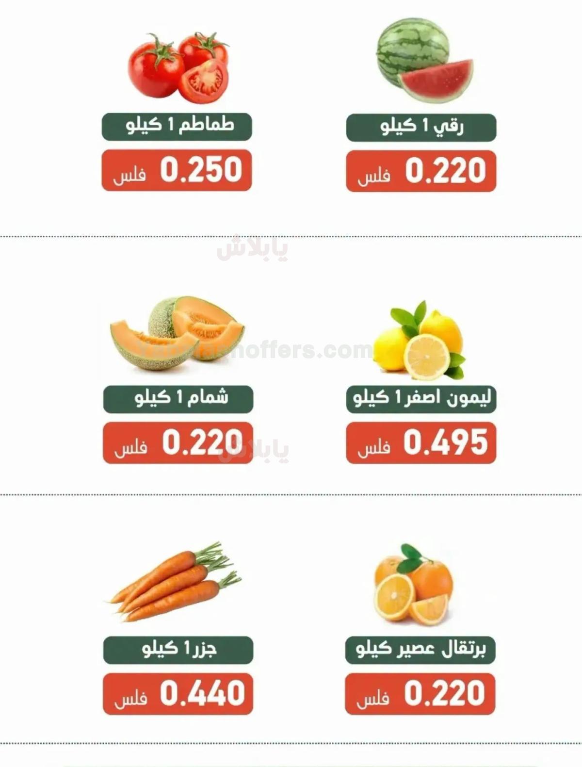 صفحة 3