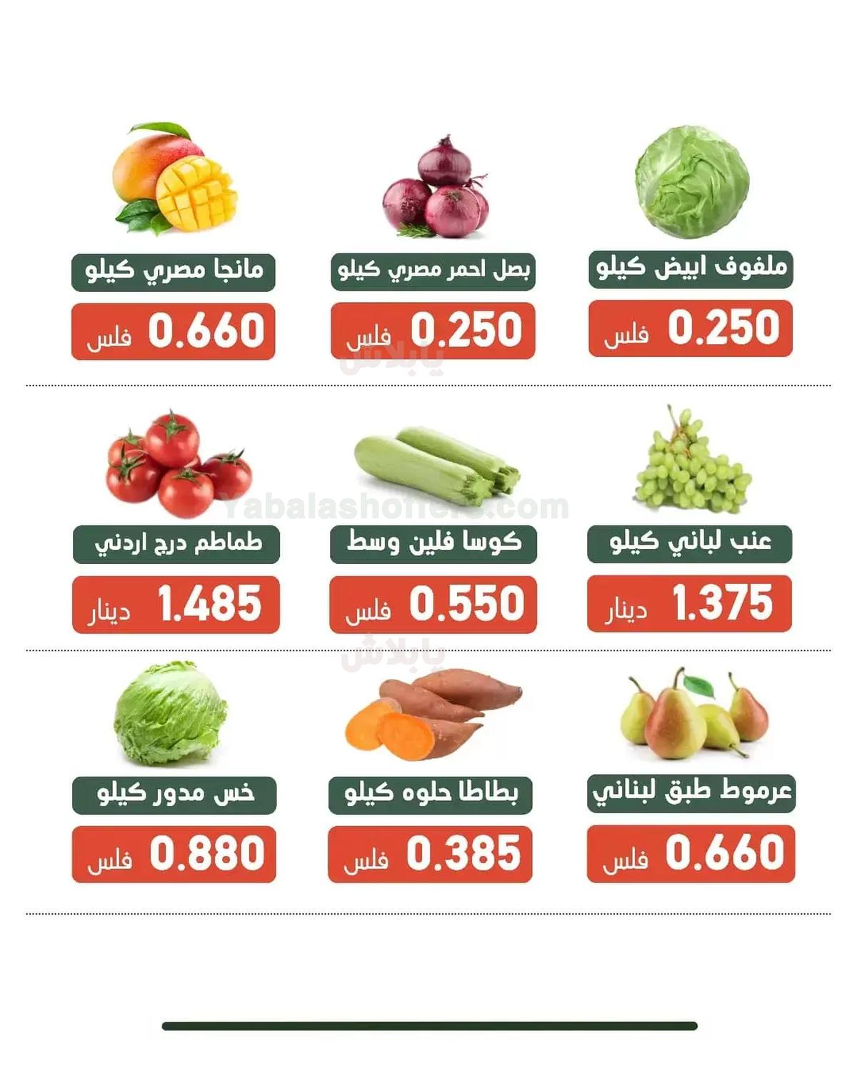 صفحة 11