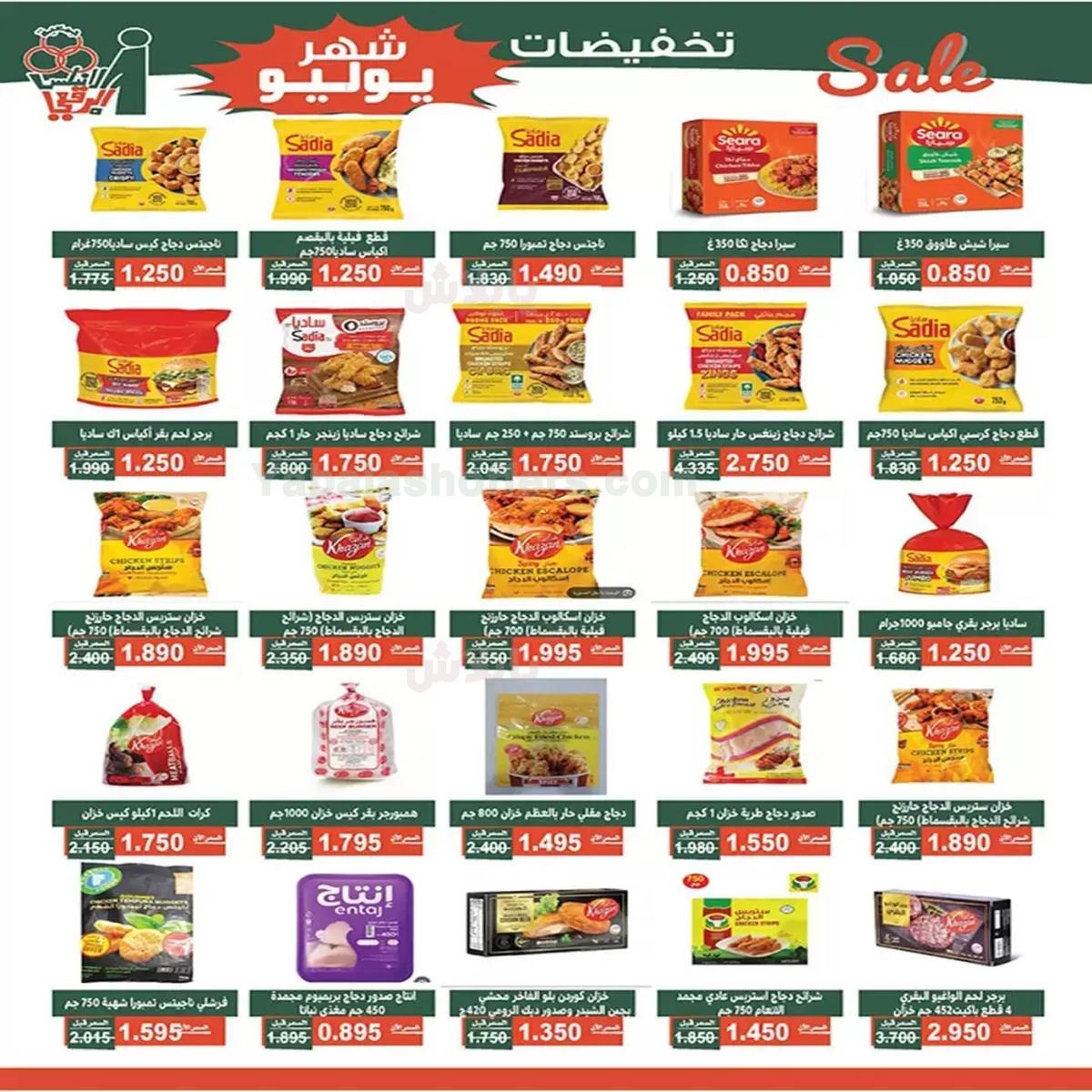 صفحة 3