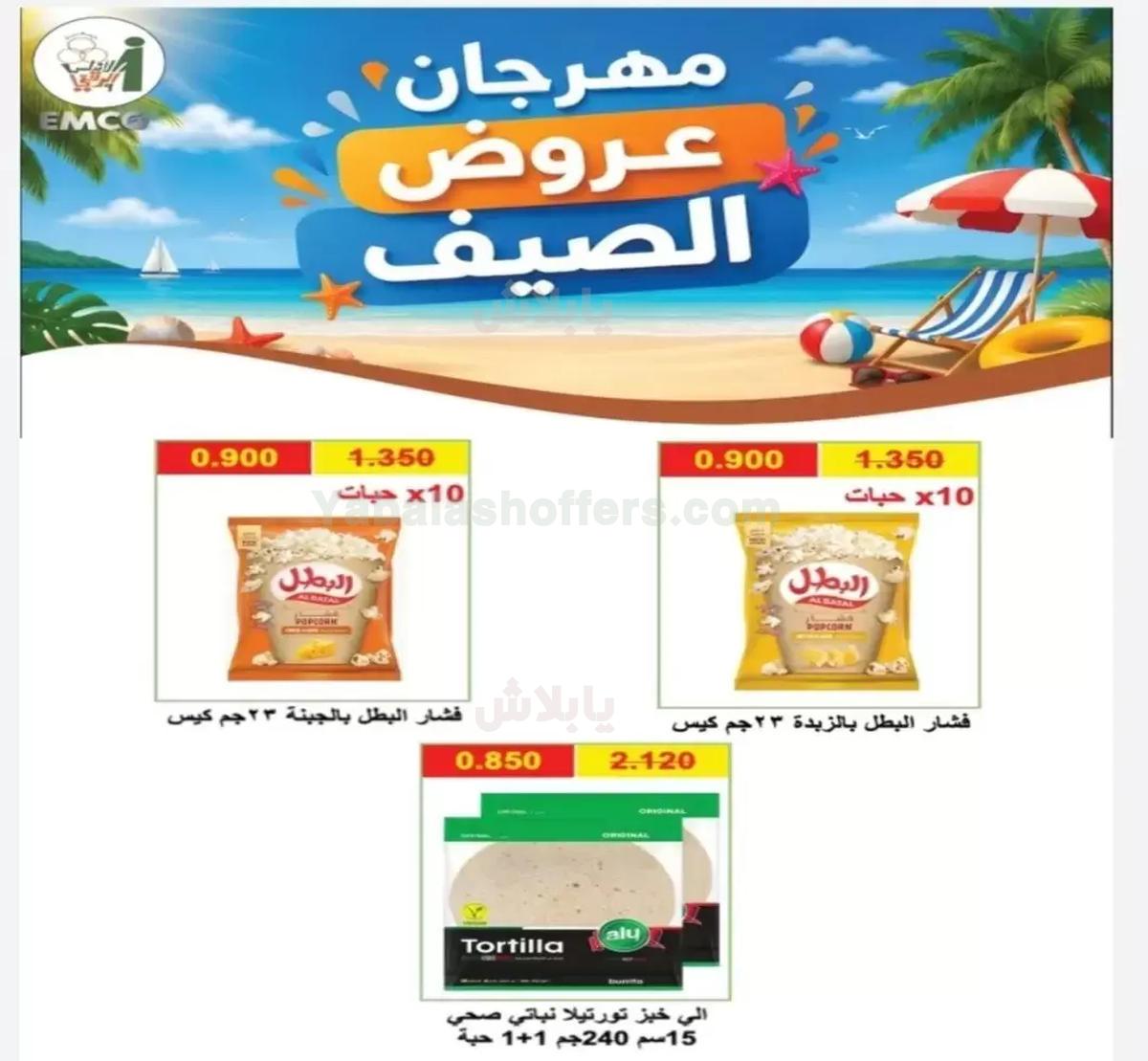 صفحة 13