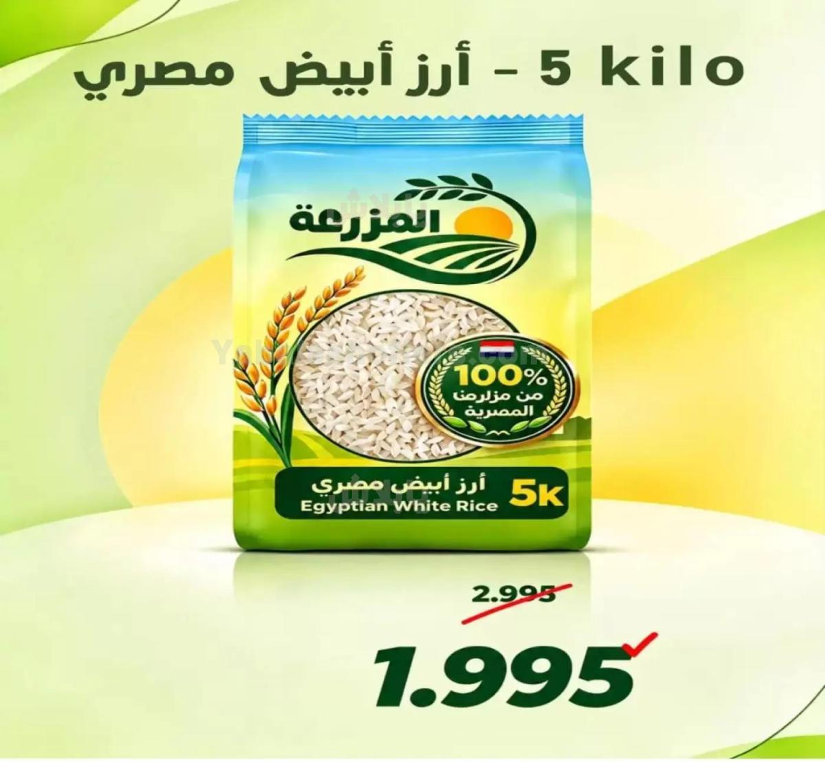 صفحة 11