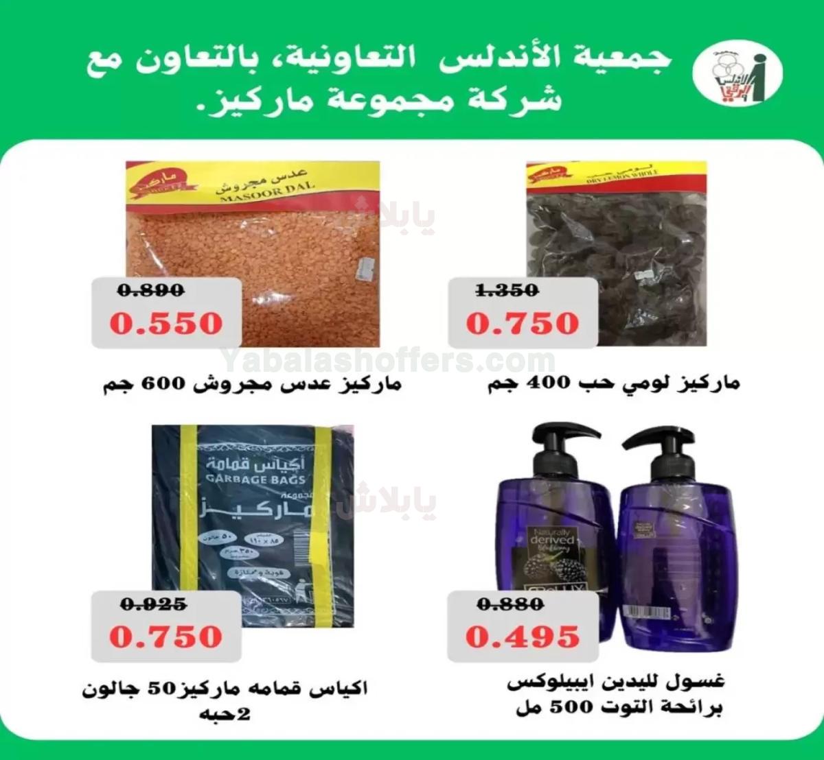 صفحة 17