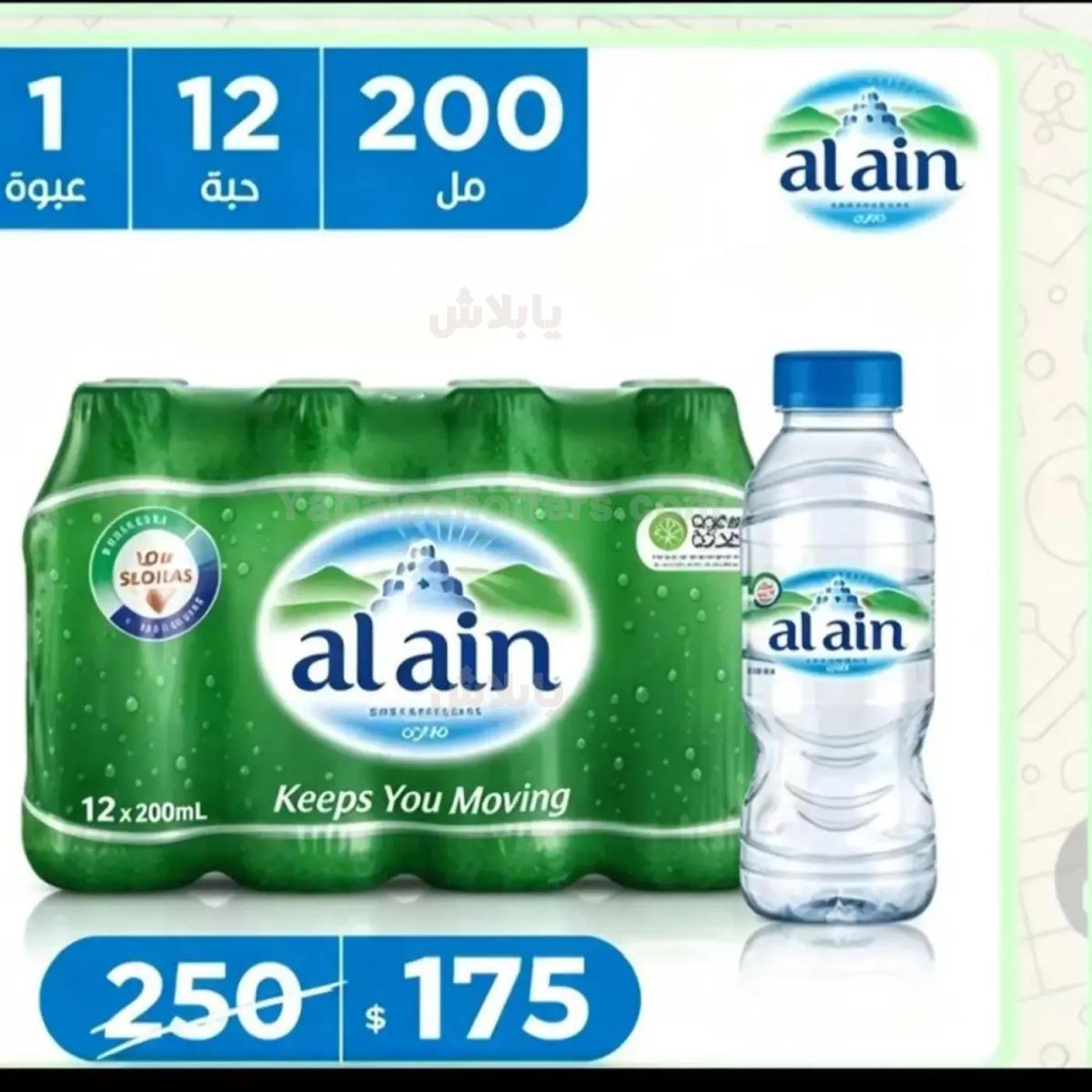 صفحة 24