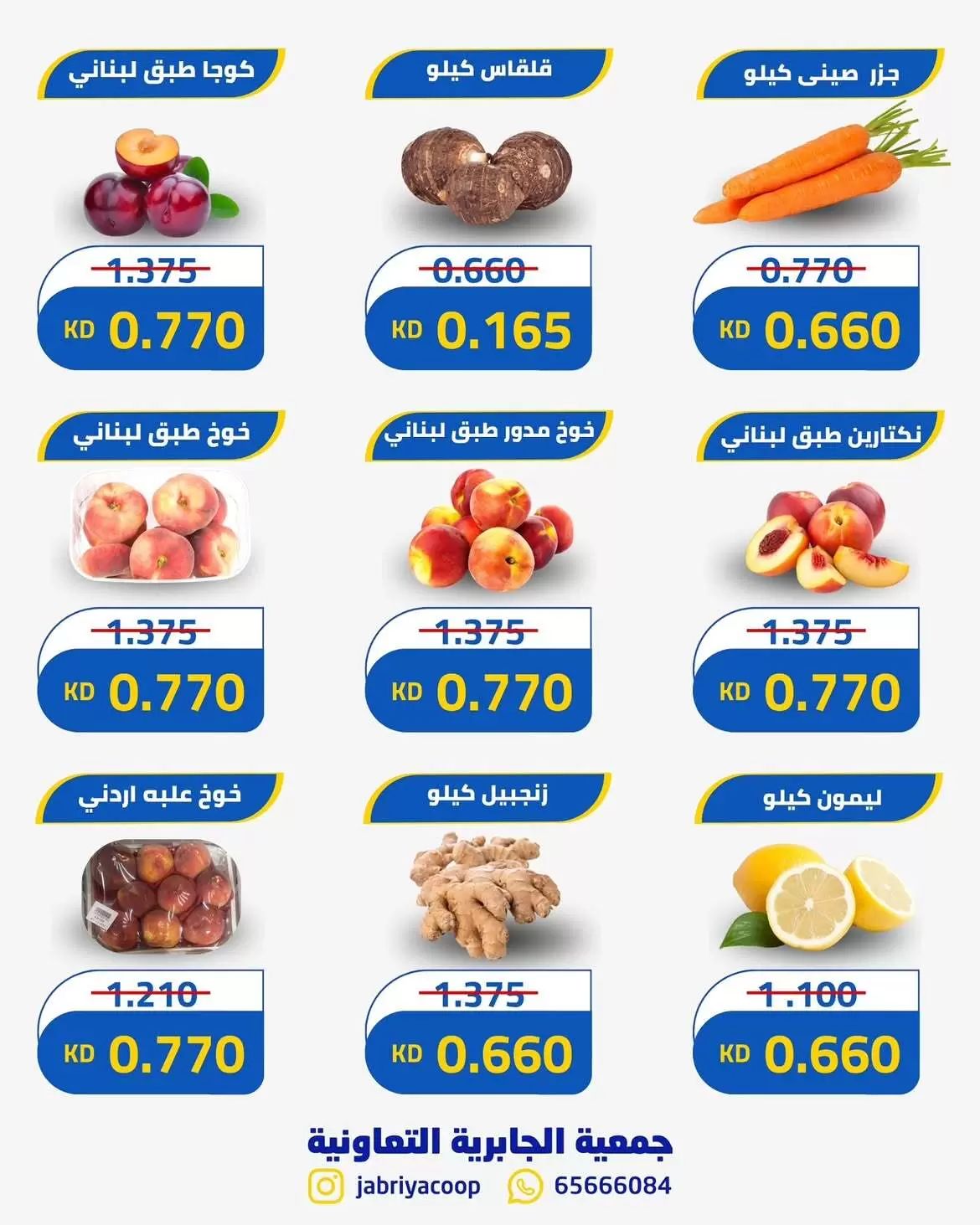 صفحة 5