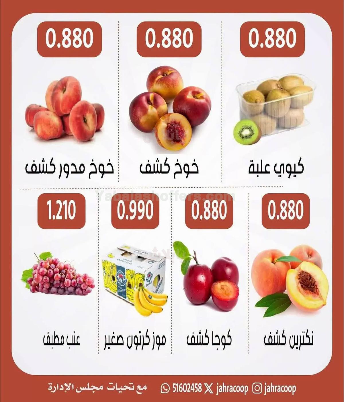 صفحة 4