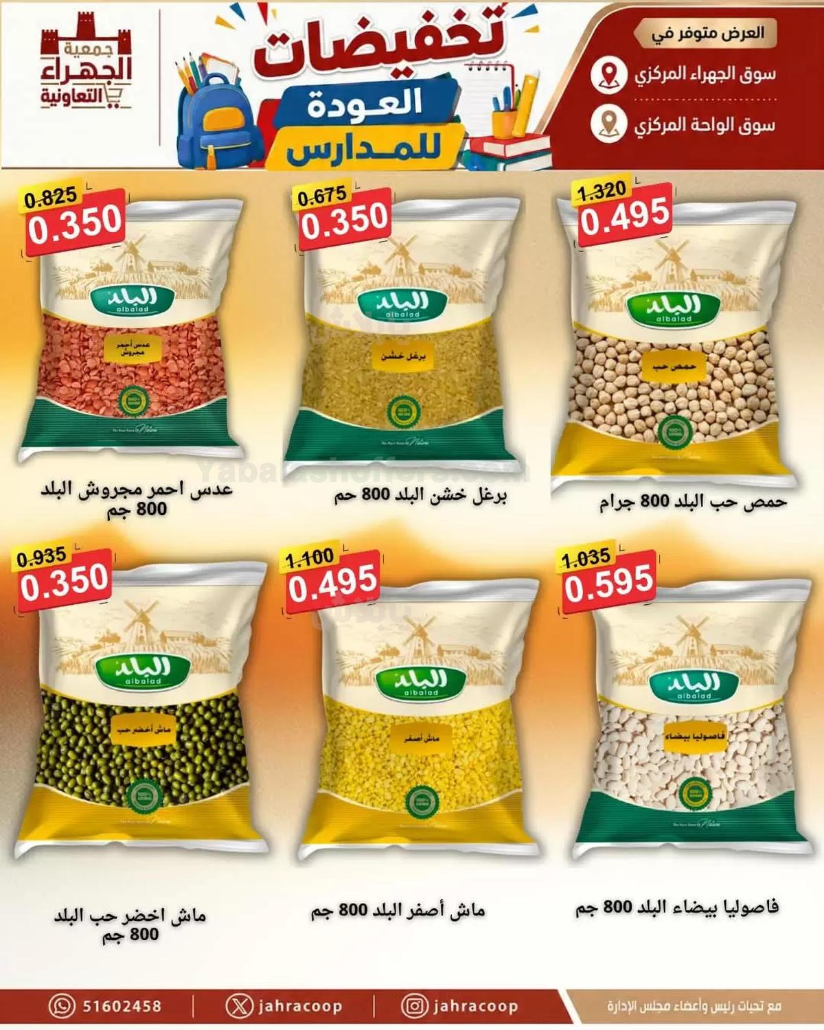 صفحة 17