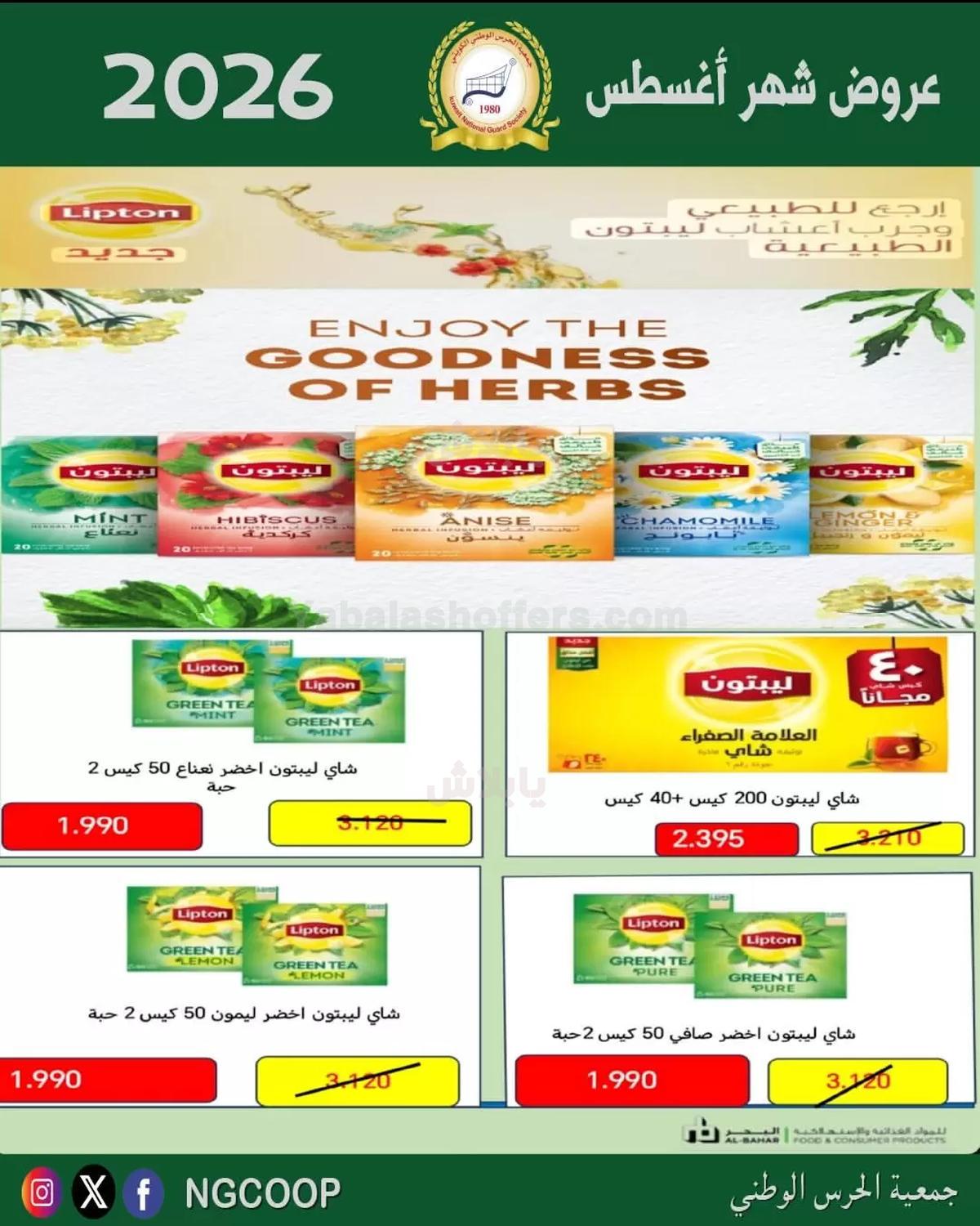 صفحة 12
