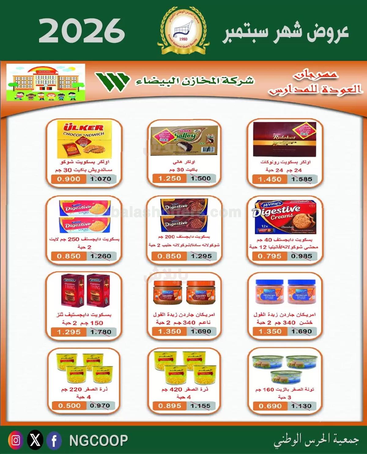 صفحة 17