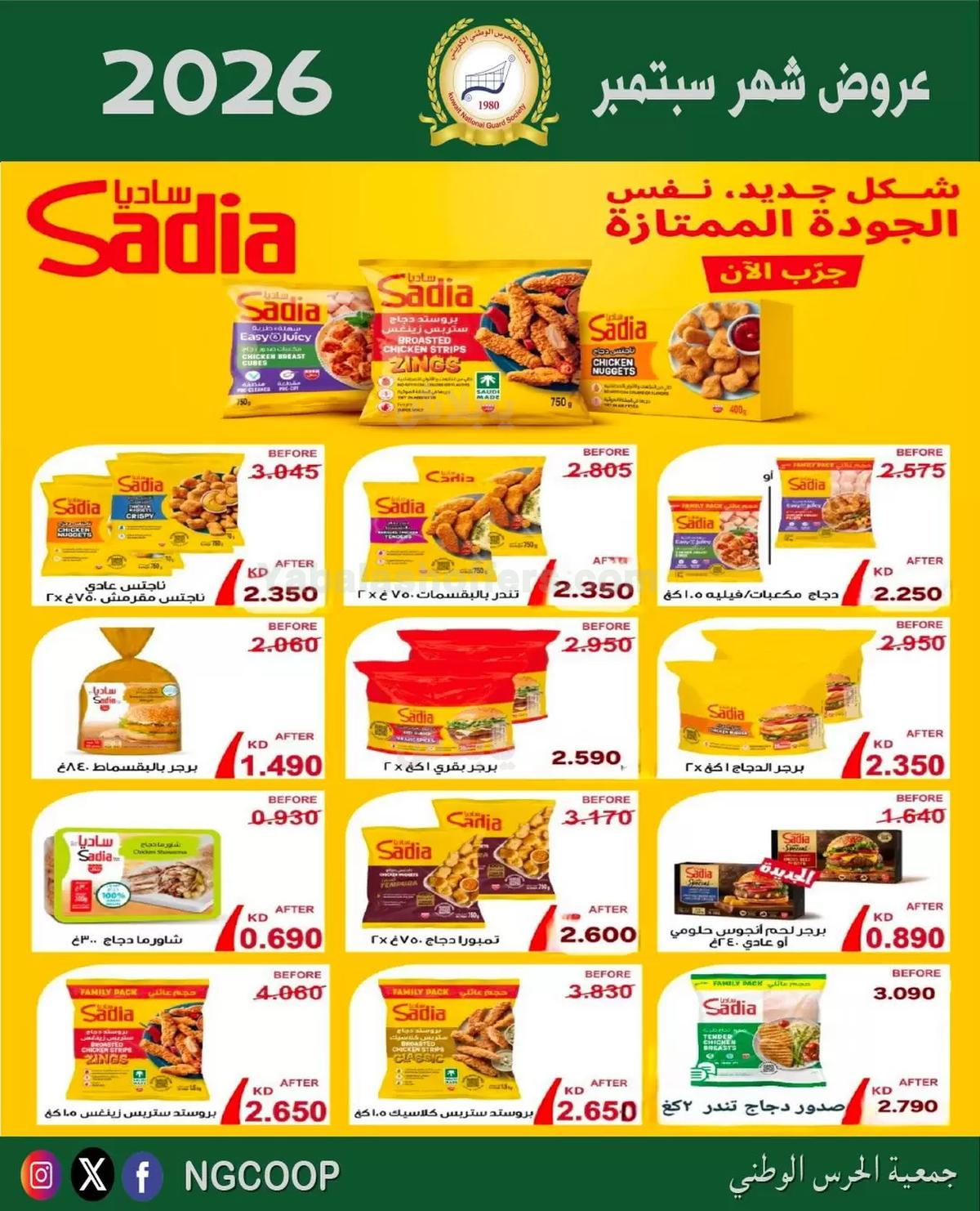 صفحة 29