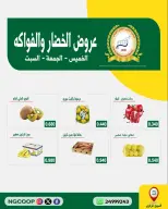 صفحة 5