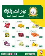 صفحة 10