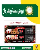 صفحة 13