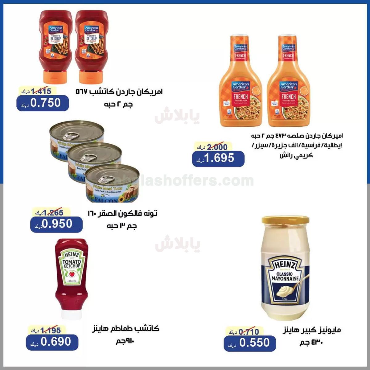 صفحة 17