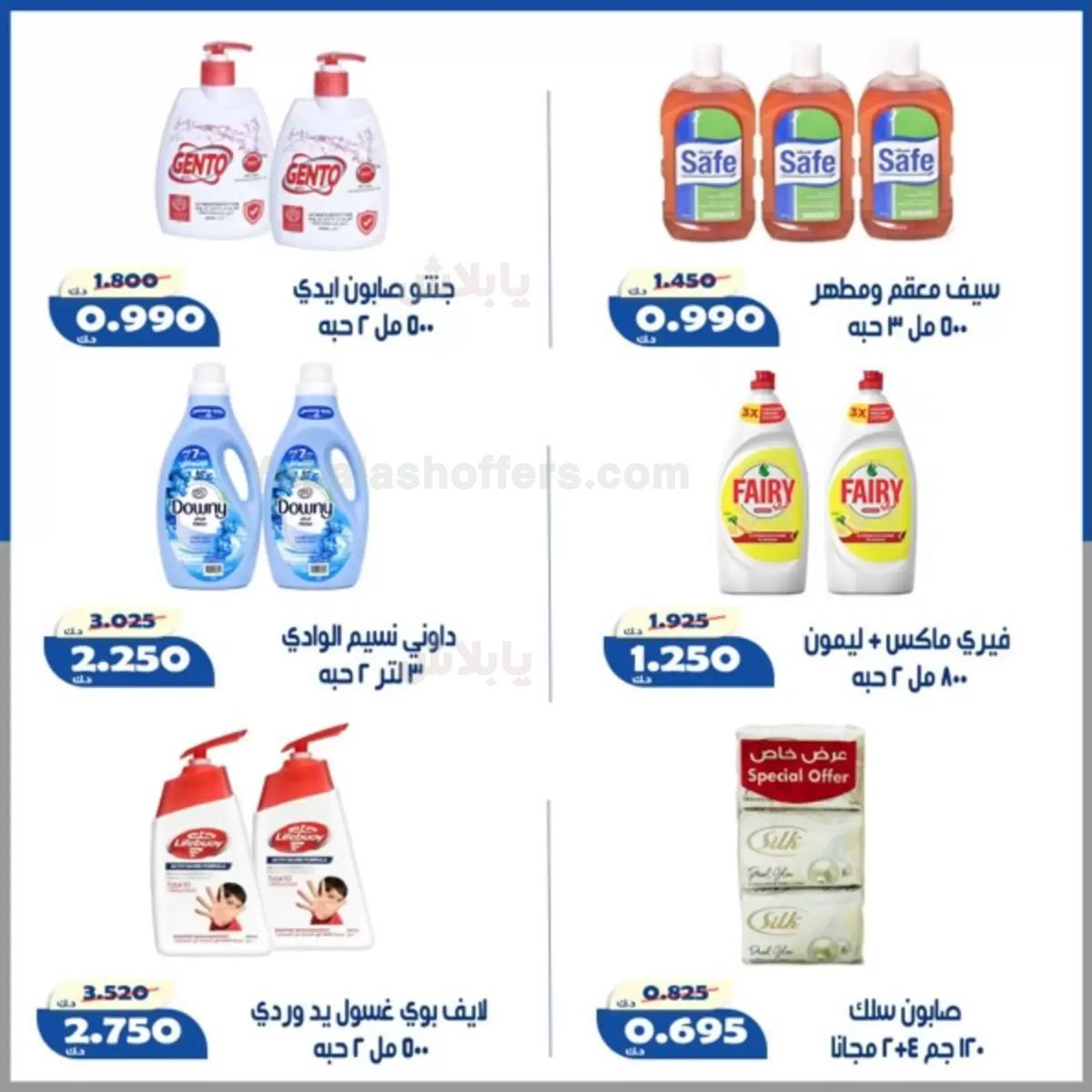 صفحة 24