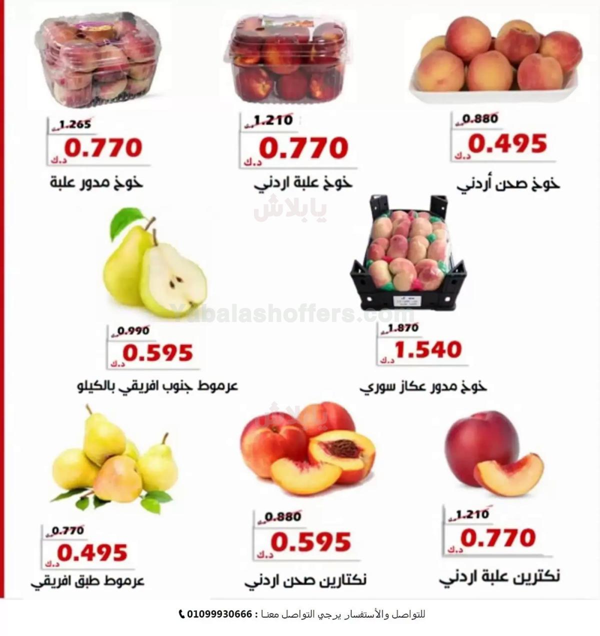 صفحة 4