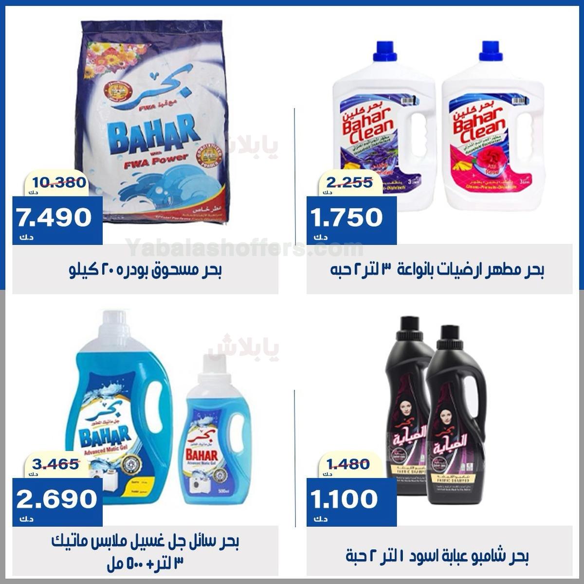 صفحة 13