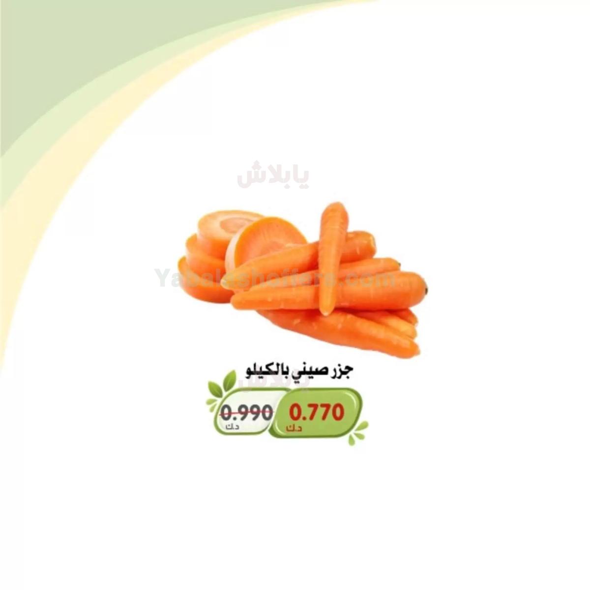 صفحة 13