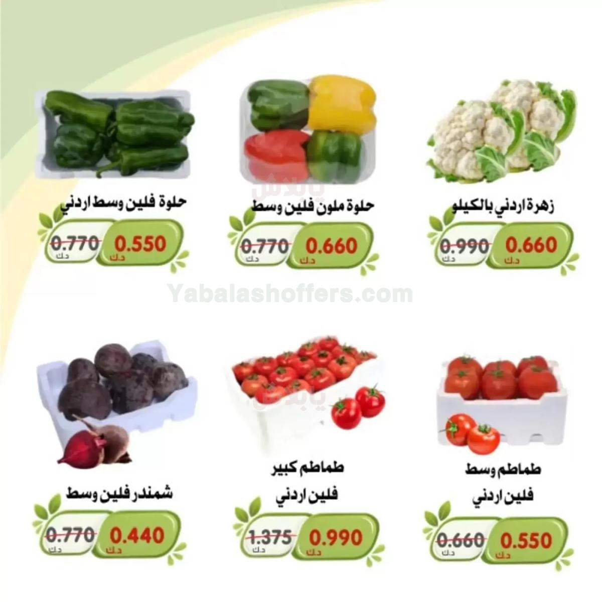 صفحة 11