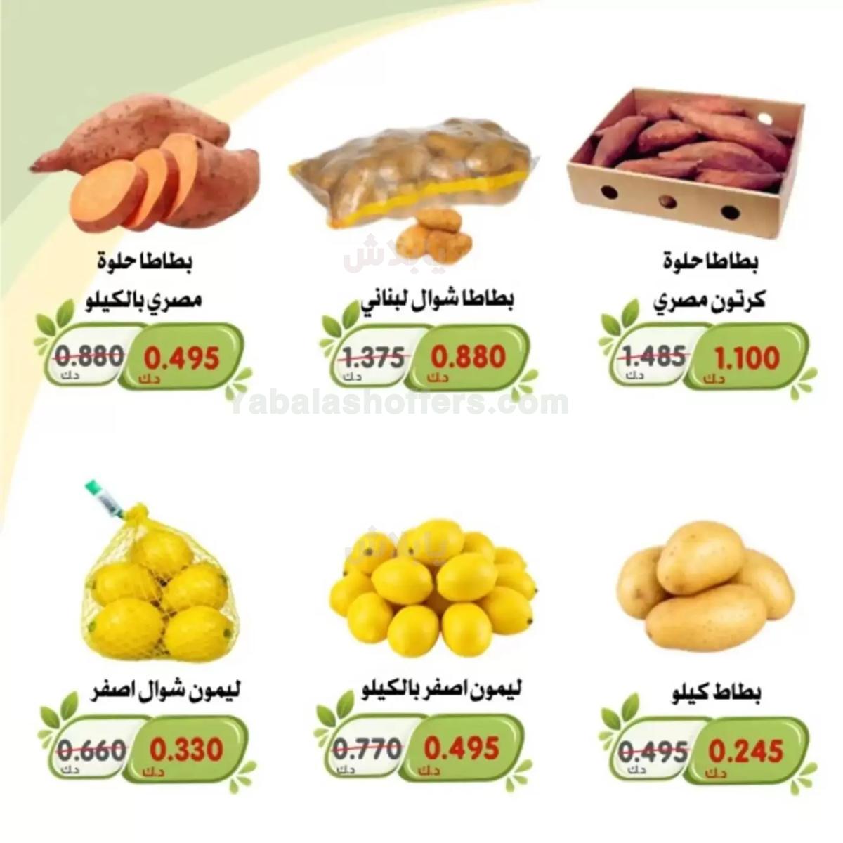 صفحة 12