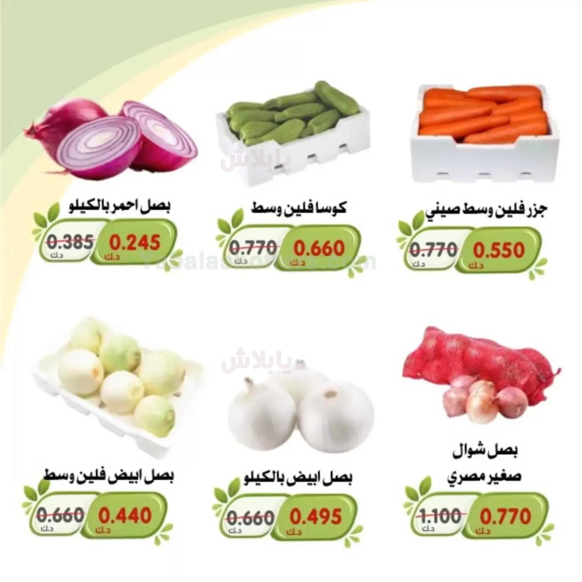 صفحة 13