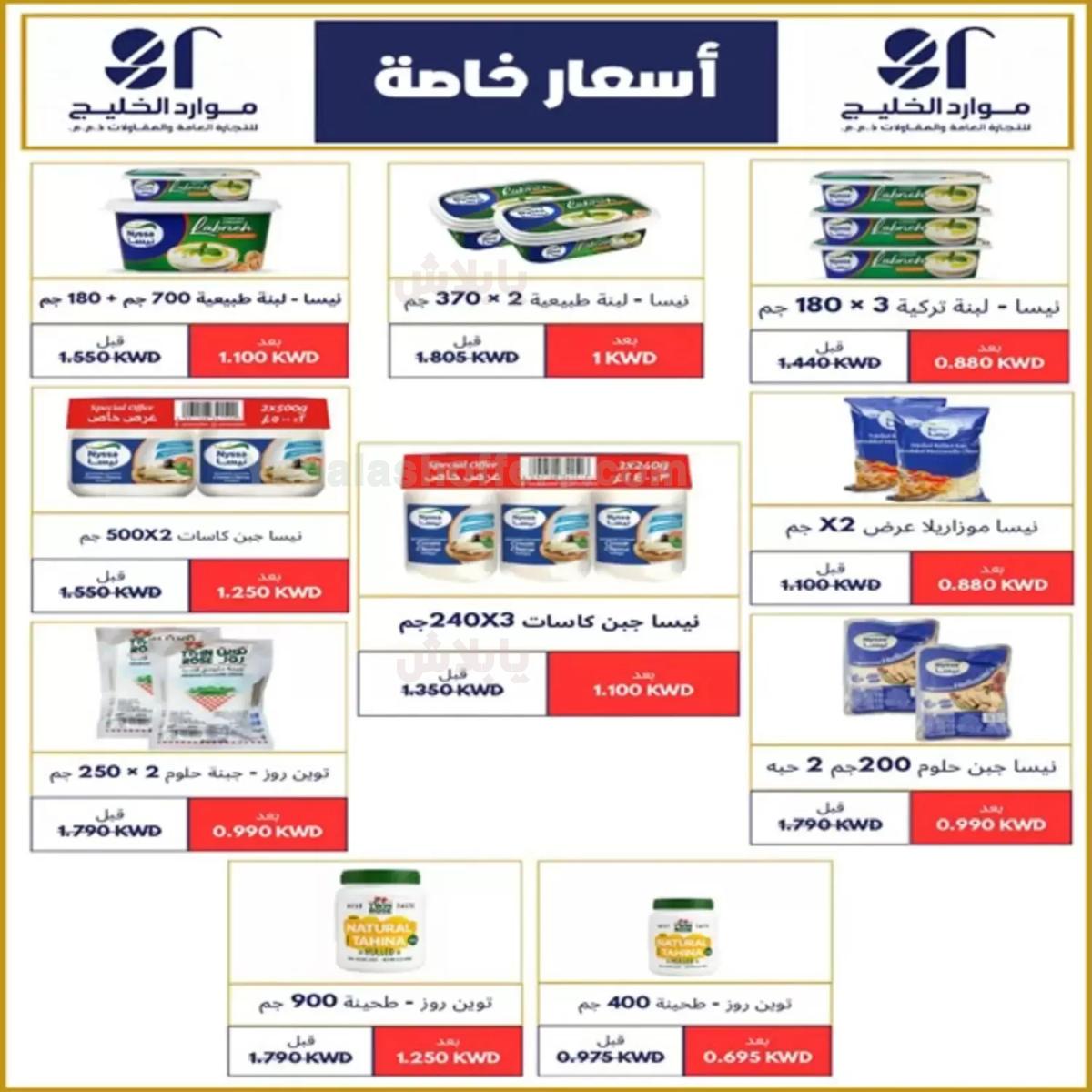 صفحة 13