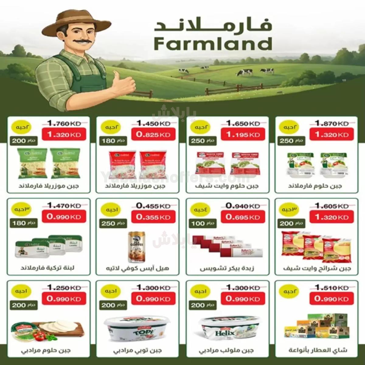 صفحة 14
