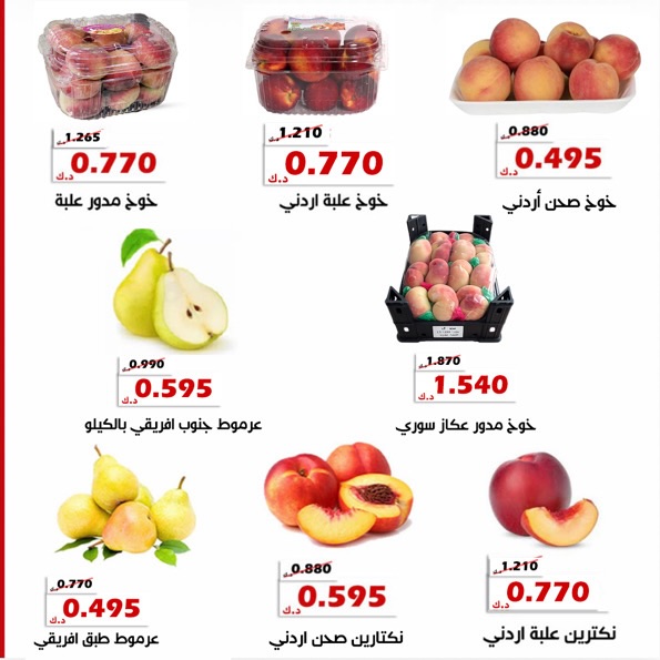 صفحة 8