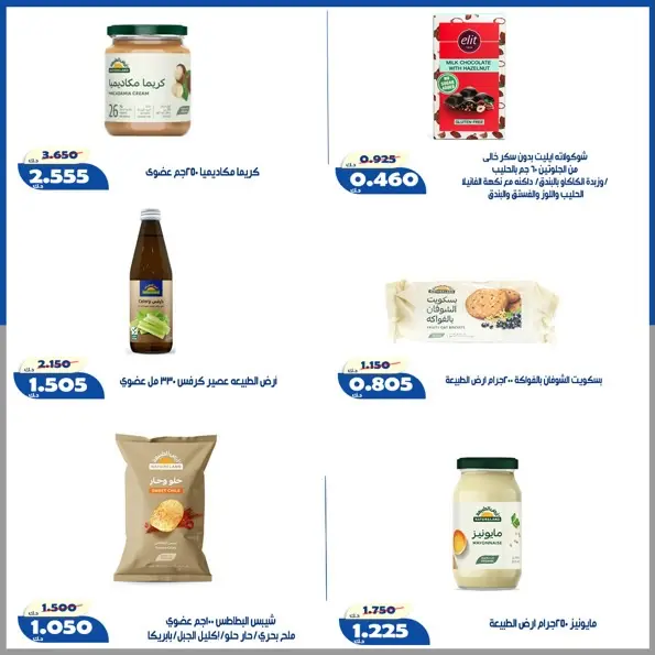 صفحة 29