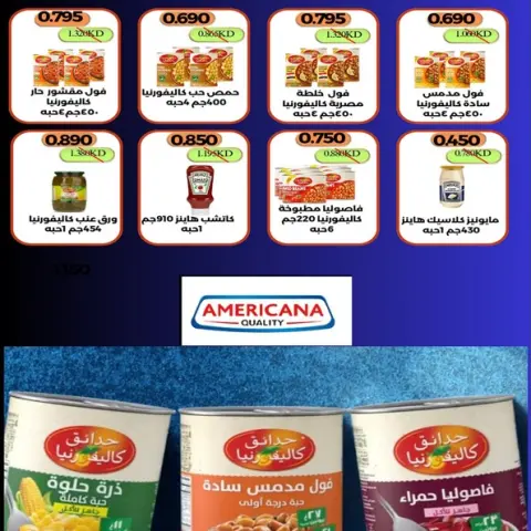 صفحة 22