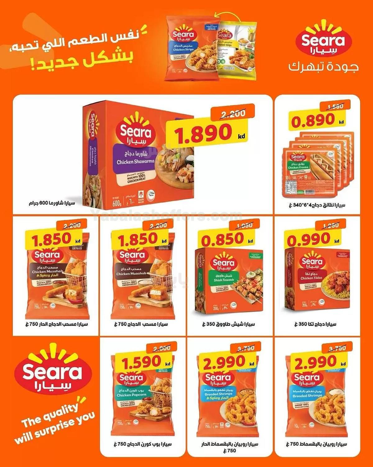 صفحة 3