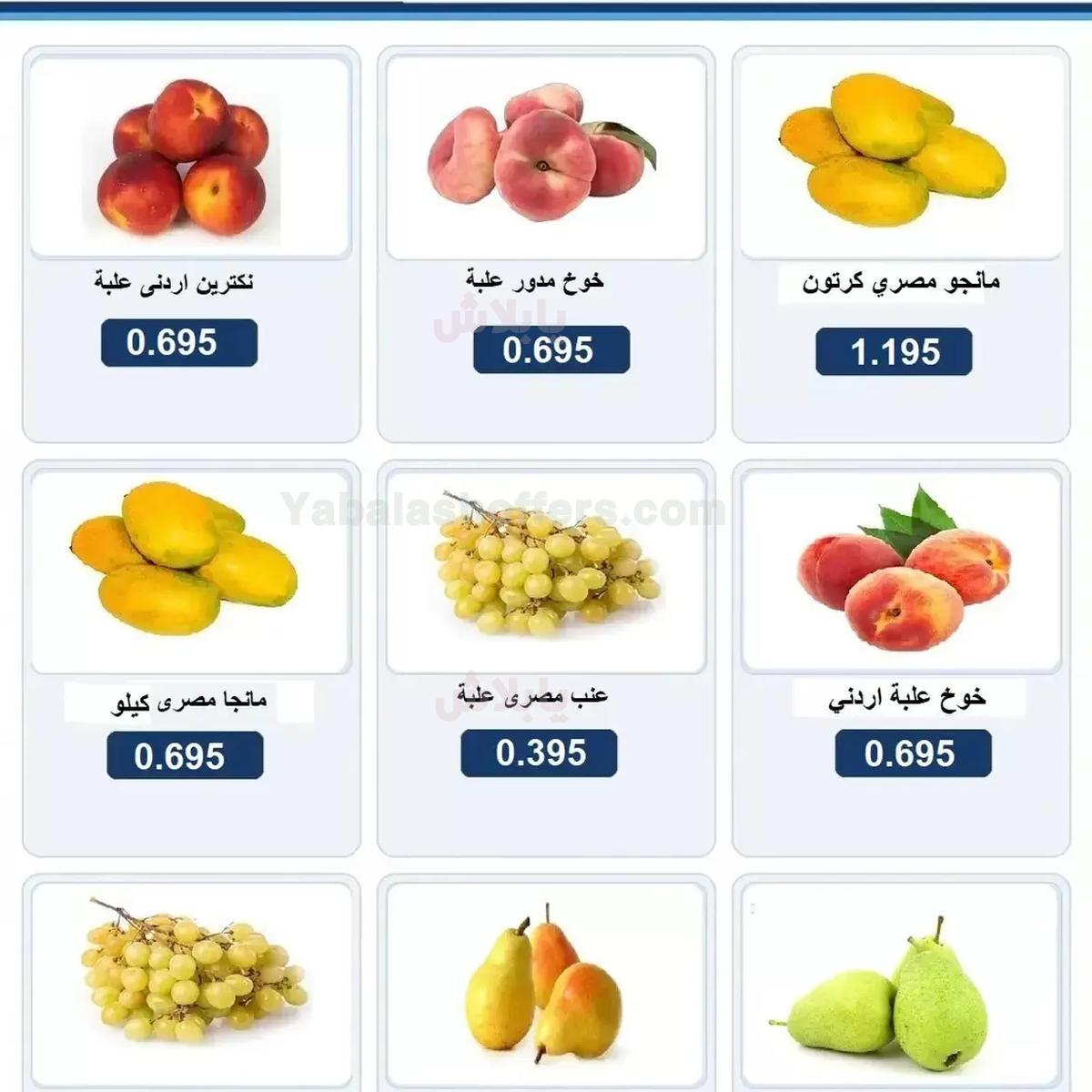 صفحة 3
