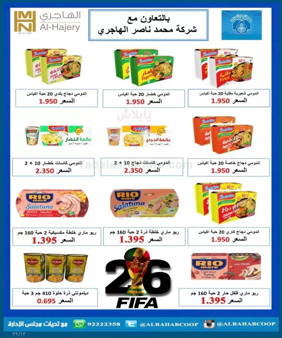 صفحة 13