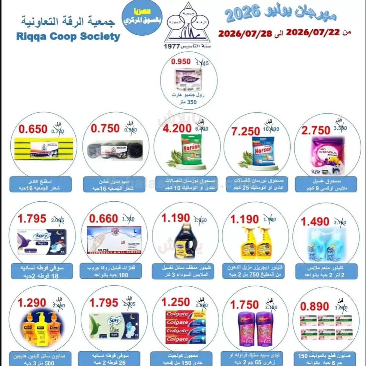 صفحة 13