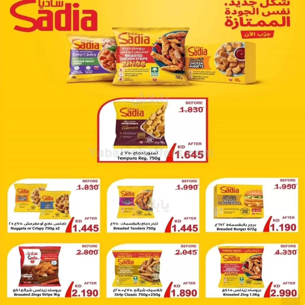 صفحة 29